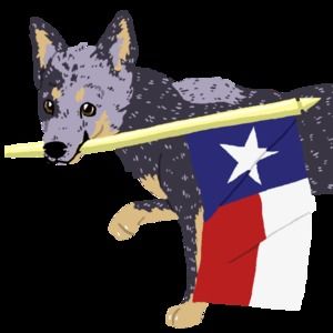 Meet your Posher, Megan shea